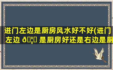进门左边是厨房风水好不好(进门左边 🦅 是厨房好还是右边是厨房好)